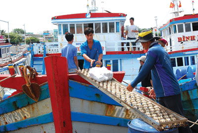 Phát triển bền vững biển đảo Việt Nam Ngư dân liên kết vươn khơi xa